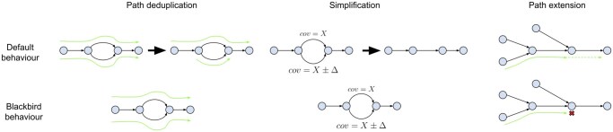 Blackbird: structural variant detection using synthetic and low-coverage long-reads.