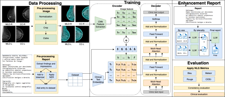 Hybrid framework for automated generation of mammography radiology reports.