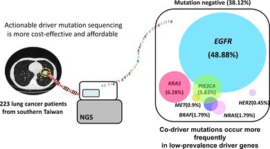 The Prevalence, Distribution, and Clinicopathological Features of Seven Lung Cancer Actionable Driver Mutations in Taiwan.