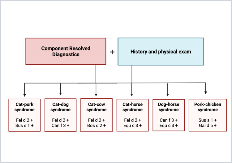 Furry Animal Allergy: Lipocalins, Serum Albumins, and Secretoglobins-Cross-Reactivity, Diagnosis, and Management Strategies.