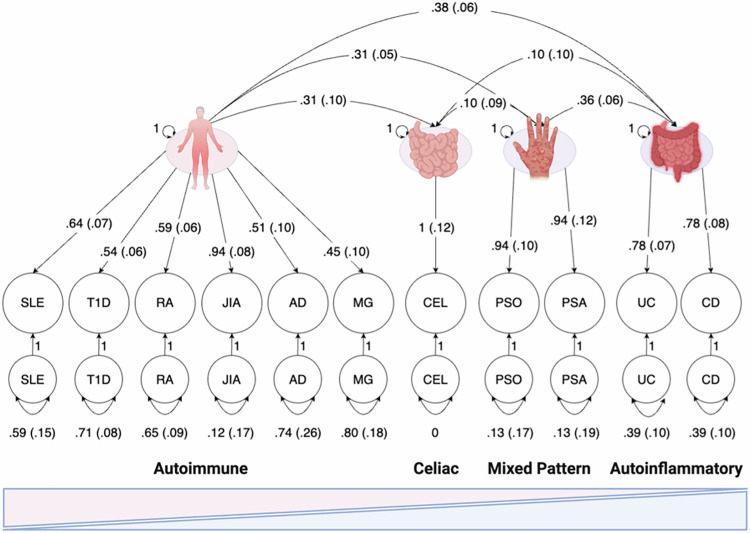 Examining the genetic links between clusters of immune-mediated diseases and psychiatric disorders.