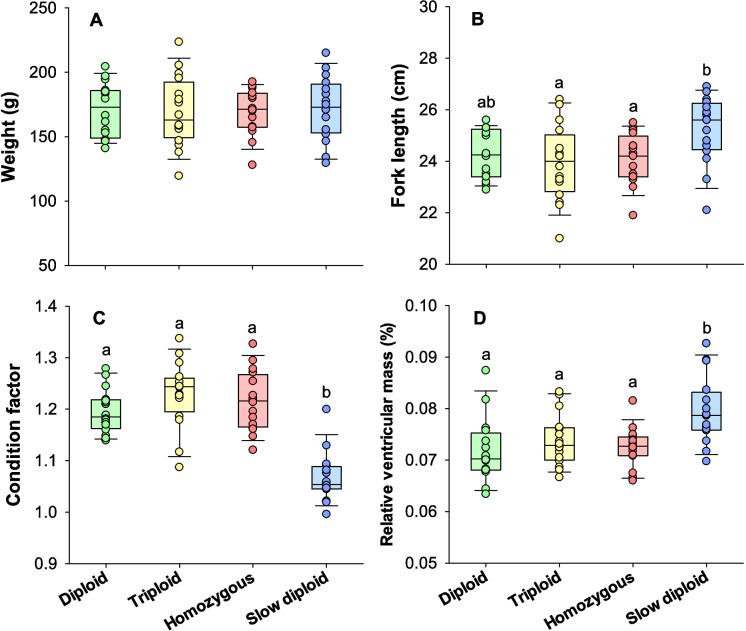 Physiology and morphology of clonal Atlantic salmon-influence of incubation temperature, ploidy, and zygosity.