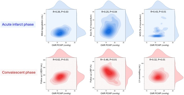 Haemodynamic implications of cardiovascular magnetic resonance pulmonary capillary wedge pressure in acute myocardial infarction.