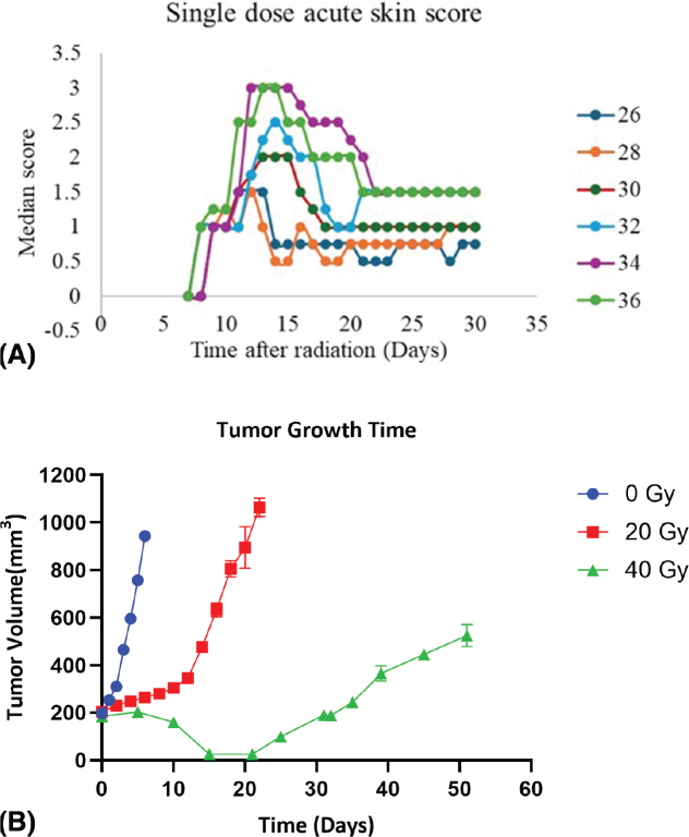 Preclinical study of reirradiation with hyperthermia in recurrent murine tumors and normal mouse skin.
