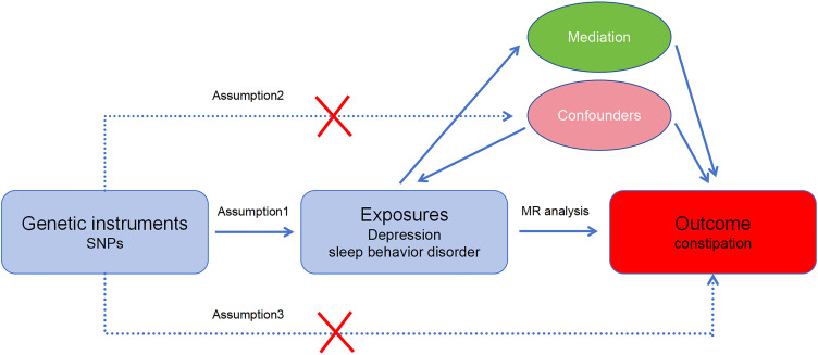 Causal Relationship Between Depression, Sleep Disorders, and Constipation: A Mendelian Randomization and Mediation Analysis.