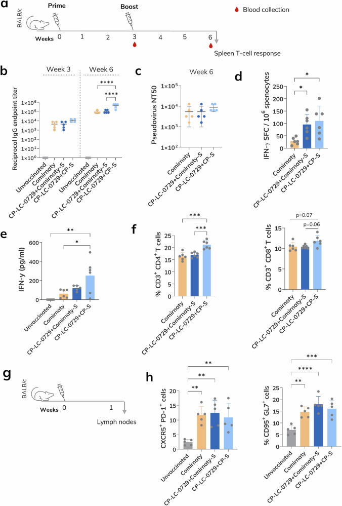 Preserved efficacy of lyophilized SARS-CoV-2 mRNA vaccine incorporating novel ionizable lipids after one year at 25 °C.