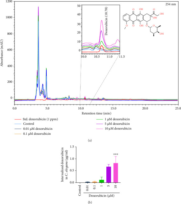 Herbo-Mineral Medicine, Cardiogrit Gold, Exhibits Protective Effects in <i>Caenorhabditis elegans</i> Model of Doxorubicin-Induced Cardiotoxicity.