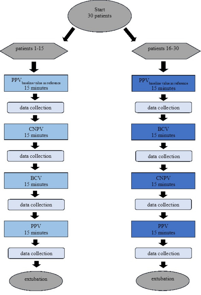 A pilot study on the hemodynamic effects of negative pressure ventilation in patients after cardiac surgery focussing on right ventricular function.