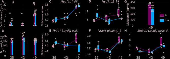 Circadian disruption impairs Leydig cell maturation and reproductive development in male rats.