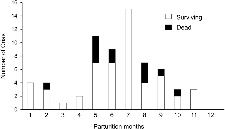 A retrospective study on reproduction in alpacas (Lama pacos) and cria growth after birth in Japan: the relationship between parturition and climate conditions.