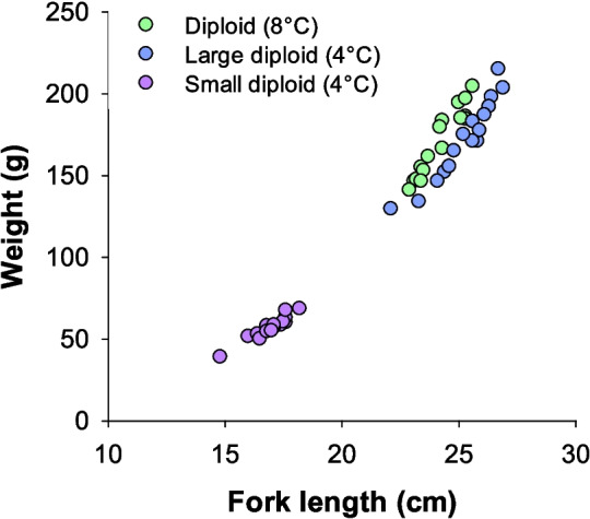 Physiology and morphology of clonal Atlantic salmon-influence of incubation temperature, ploidy, and zygosity.