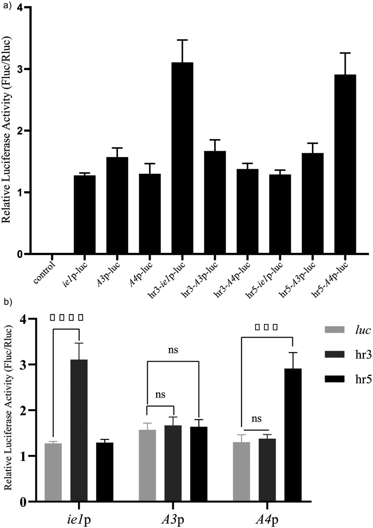 Construction of synthetic constitutive promoters and evaluation of their expression strengths in Sf9, HEK293T, and BmN cells.