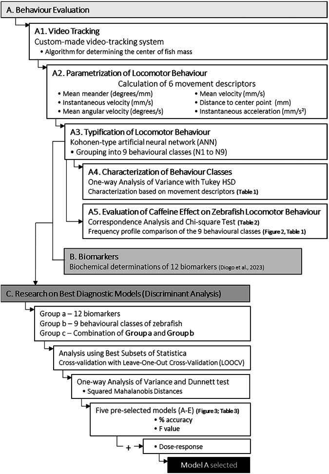 Comprehensive machine learning assessment of zebrafish behaviour and biochemical markers in response to caffeine exposure.