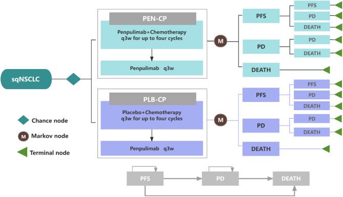 Cost-effectiveness analysis of penpulimab plus carboplatin-paclitaxel as first-line treatment for metastatic squamous non-small-cell lung cancer in China.
