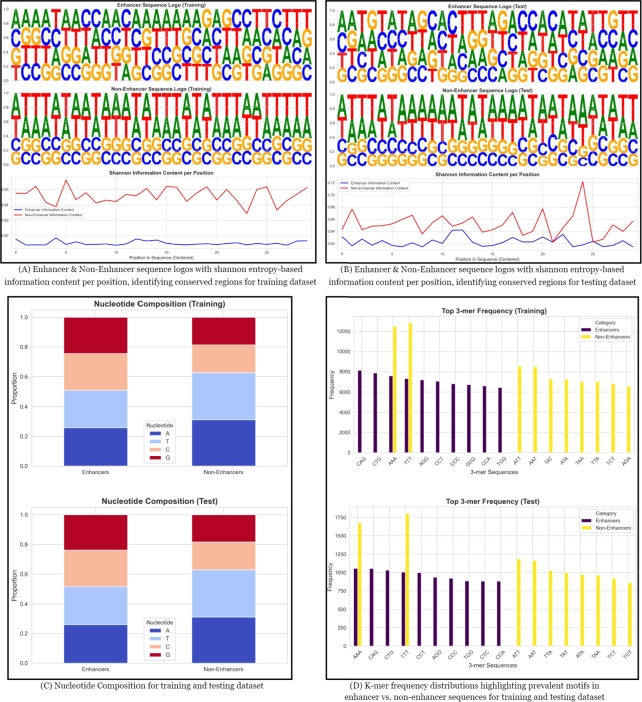 AttnW2V-Enhancer: Leveraging attention and Word2Vec for enhanced enhancer prediction.