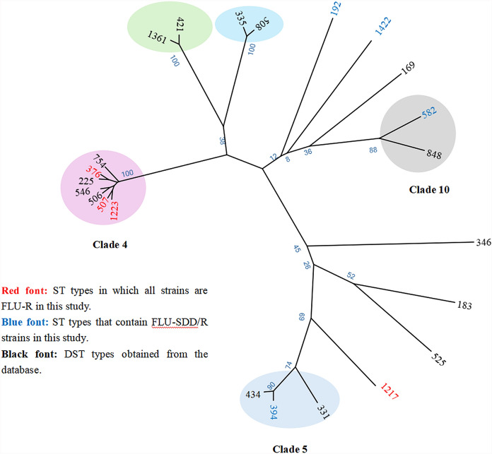 Clinical and Molecular Epidemiological Characteristics of 26 Bloodstream Infection Cases Caused by Candida tropicalis.