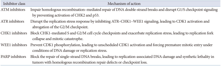Therapeutic Targeting of DNA Damage Response Pathways in <i>TP53</i>- and <i>ATM</i>-Mutated Tumors.
