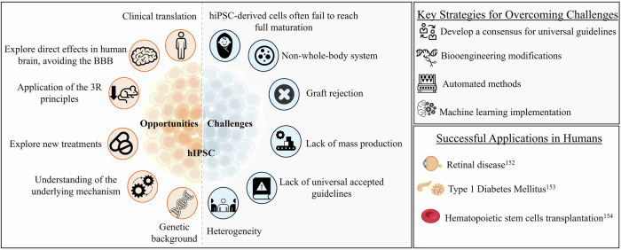 Host-microbiome relationship in depression: can human induced pluripotent stem cells play a role in unravelling mechanisms?