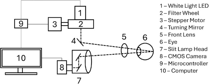 A Method to Evaluate the Frequency Dependence of Retinal Vascular and Neural Metrics to Stimulus Modulation.