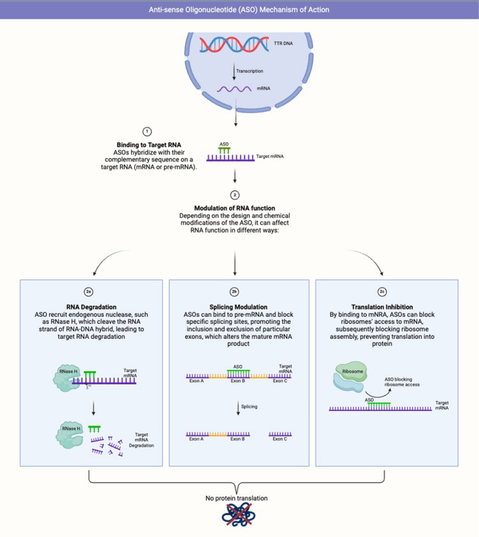 Emerging, novel gene-modulating therapies for transthyretin amyloid cardiomyopathy.