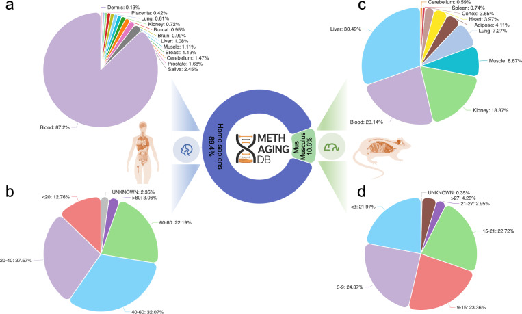 MethAgingDB: a comprehensive DNA methylation database for aging biology.