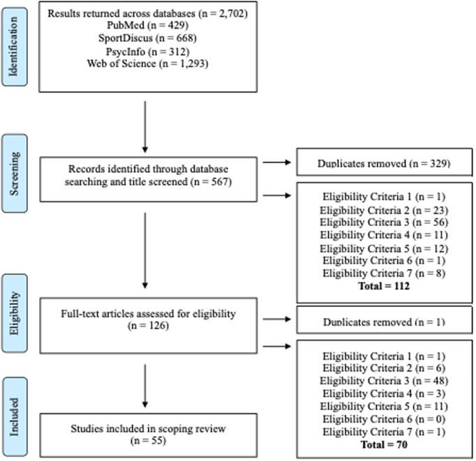 Perceptual-cognitive skills and talent development environments in soccer: A scoping review.