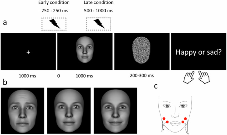 Electrical stimulation of smiling muscles reduces visual processing load and enhances happiness perception in neutral faces.