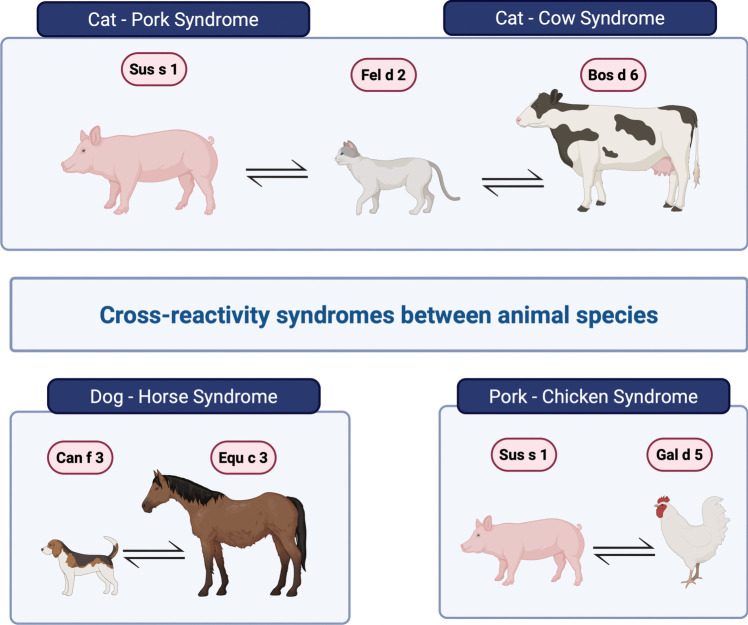 Furry Animal Allergy: Lipocalins, Serum Albumins, and Secretoglobins-Cross-Reactivity, Diagnosis, and Management Strategies.