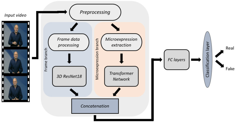 A Dual-Branch Fusion Model for Deepfake Detection Using Video Frames and Microexpression Features.