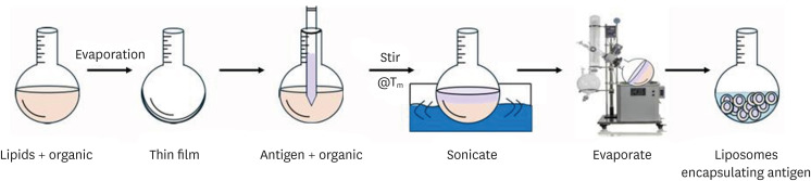 Evaluation of oral and injectable liposome-based vaccines with synthesized lipid for Japanese encephalitis virus in Sprague-Dawley rats.
