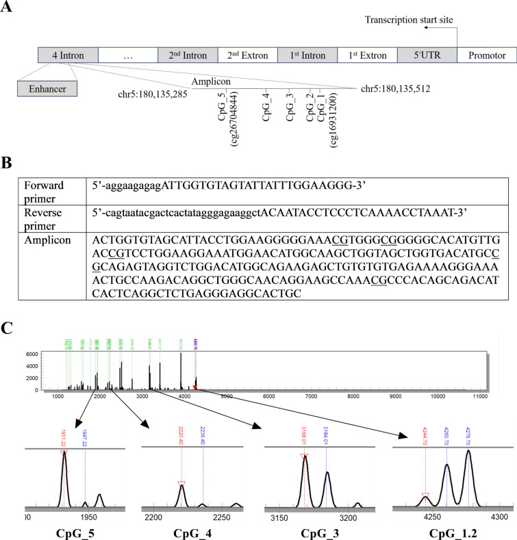 RASGEF1C methylation for the distinguishment and classification of benign and malignant thyroid tumors.