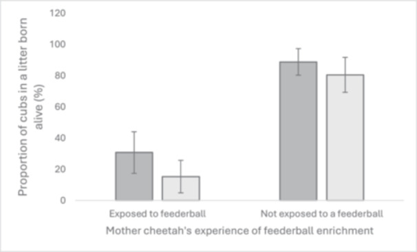 What Makes a Mother? Investigating Maternal Success in Ex Situ Cheetahs.