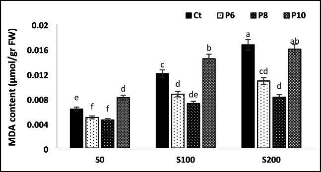 Cold plasma technology as a pre-treatment for seed priming enhances germination and reduces salinity stress in Prosopis Koelziana.