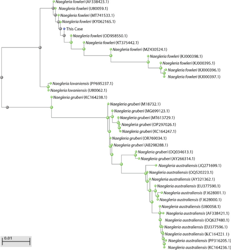 Rare Naegleria fowleri meningoencephalitis diagnosed via combined molecular biology and metagenomic sequencing techniques: a case report.