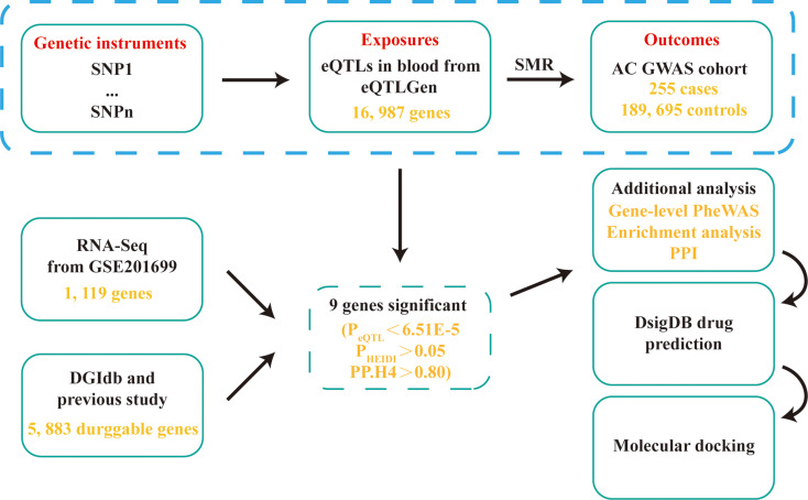 Identification of potential drug targets for achalasia from genetic insights: a Mendelian randomization study.