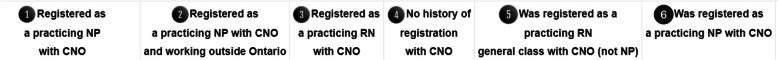 27 Years of retention outcomes for a nine-university primary health care nurse practitioner program in Ontario, Canada.