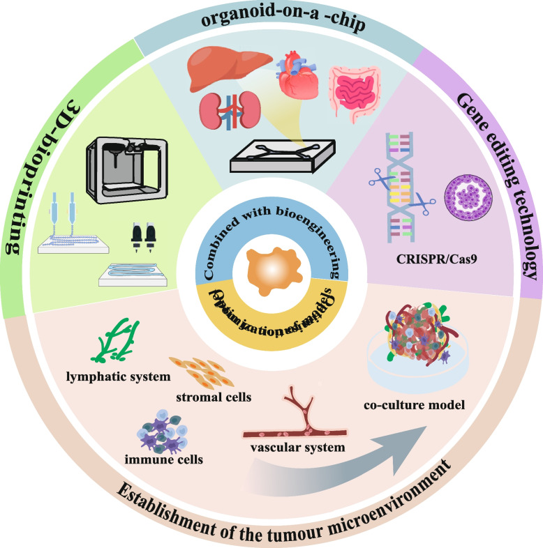 Harnessing organoid technology in urological cancer: advances and applications in urinary system tumors.