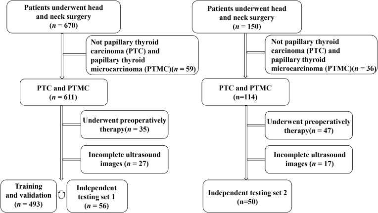 Integrating Deep Learning and Radiomics in Differentiating Papillary Thyroid Microcarcinoma from Papillary Thyroid Carcinoma with Ultrasound Images.