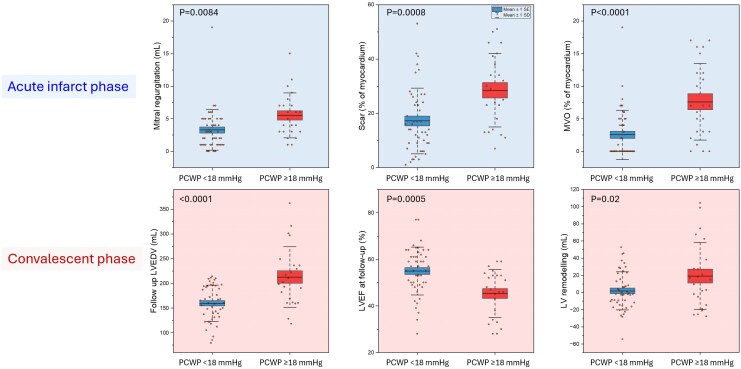 Haemodynamic implications of cardiovascular magnetic resonance pulmonary capillary wedge pressure in acute myocardial infarction.