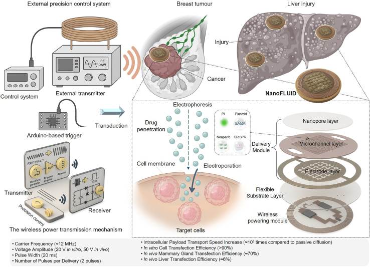 NanoFLUID is a flexible bioelectronic delivery patch.