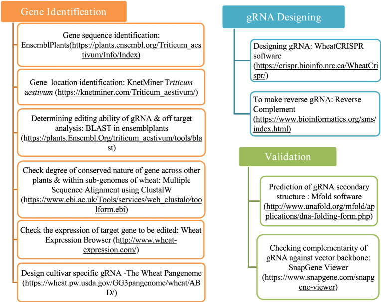 Comprehensive approaches to design efficient gRNA for SDN1-CRISPR/Cas9 genome editing in wheat.