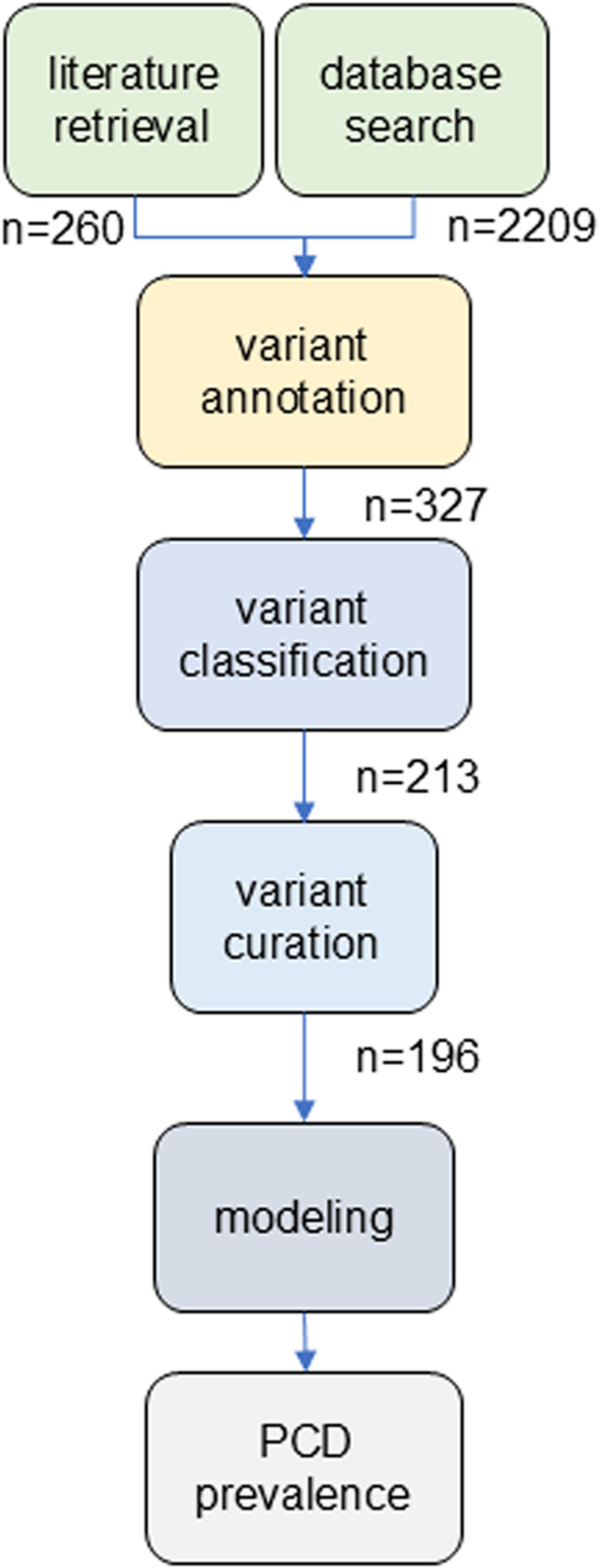 The global prevalence and genetic spectrum of primary carnitine deficiency.