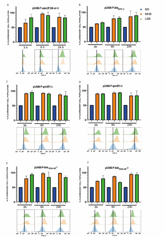 Implications of gene expression heterogeneity in the interplay between acquired resistance and bacterial metabolism.