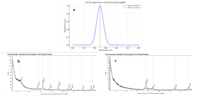 Biodegradable chitosan/PVA-based hydrogel incorporating green synthesized silver nanoparticles for wound healing applications.