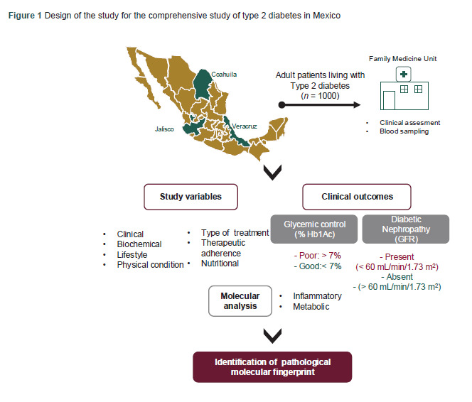 Comprehensive study of associated factors with Type 2 Diabetes in Mexico: protocol.