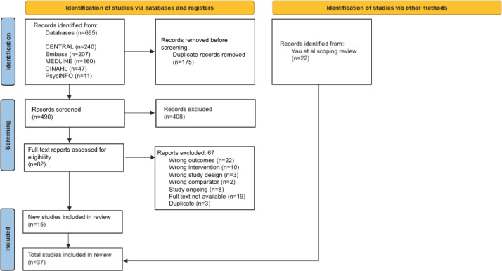 The Safety of Telerehabilitation: Systematic Review.