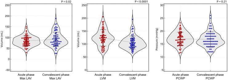 Haemodynamic implications of cardiovascular magnetic resonance pulmonary capillary wedge pressure in acute myocardial infarction.