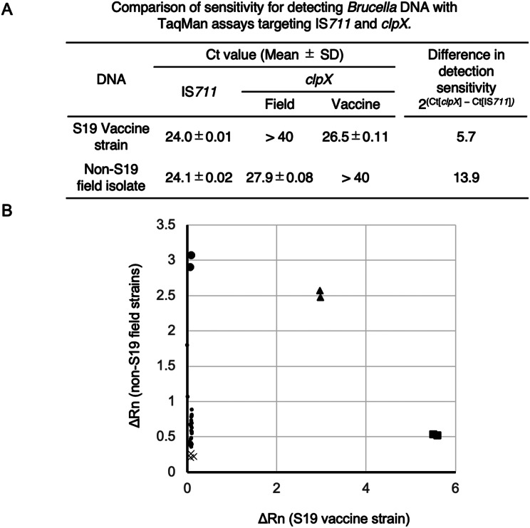 Detection of Brucella spp. from milk by quantitative PCR as a monitoring method for brucellosis in cattle in Mongolia.