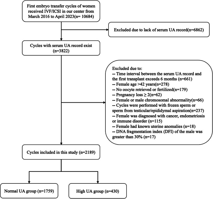 Association of hyperuricemia with higher miscarriage rates and lower live birth rates in women undergoing IVF/ICSI.