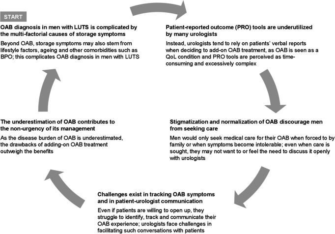 Barriers to early and effective overactive bladder management in male patients with lower urinary tract symptoms.